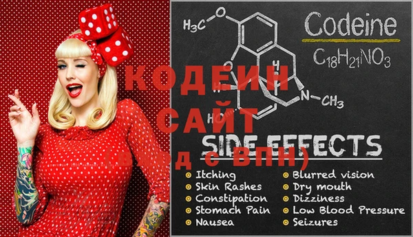 PSILOCYBIN Алзамай