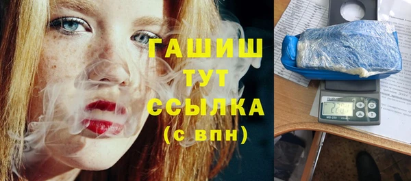 PSILOCYBIN Алзамай